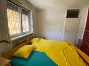Beautiful apartment near Petrovaradin fortress
